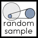 "Random Sample Review" logo